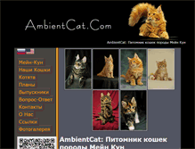 Tablet Screenshot of ambientcat.com